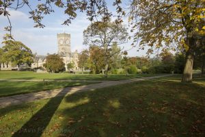 _chevin autumn8.jpg